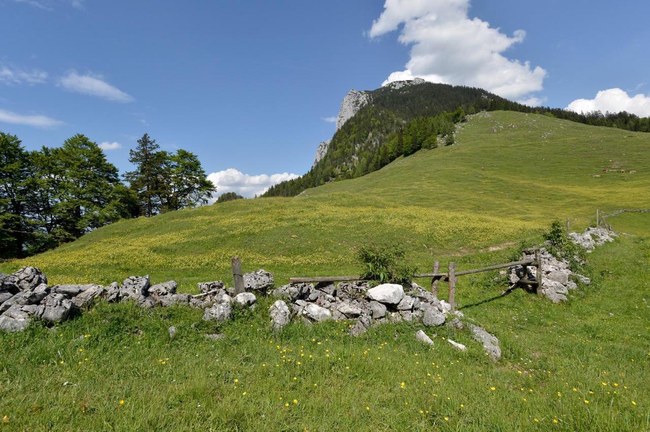 Ritzau Alm Hotel Ebbs Exterior foto